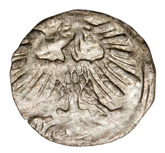 Denar 1556 Zygmunt II August Litwa Wilno (2)