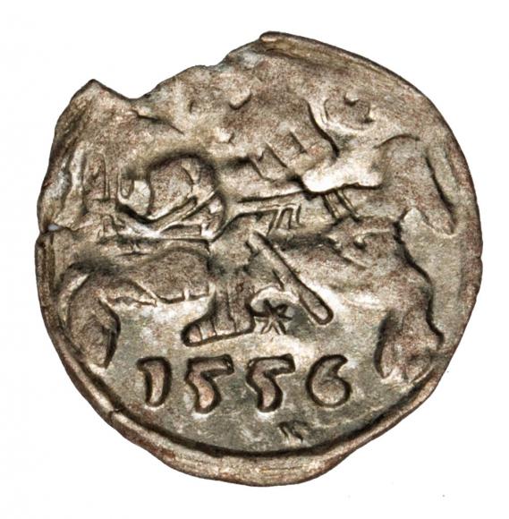 Denar 1556 Zygmunt II August Litwa Wilno (1)