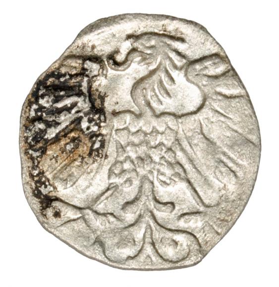 Denar 1558 Zygmunt II August Litwa Wilno (2)