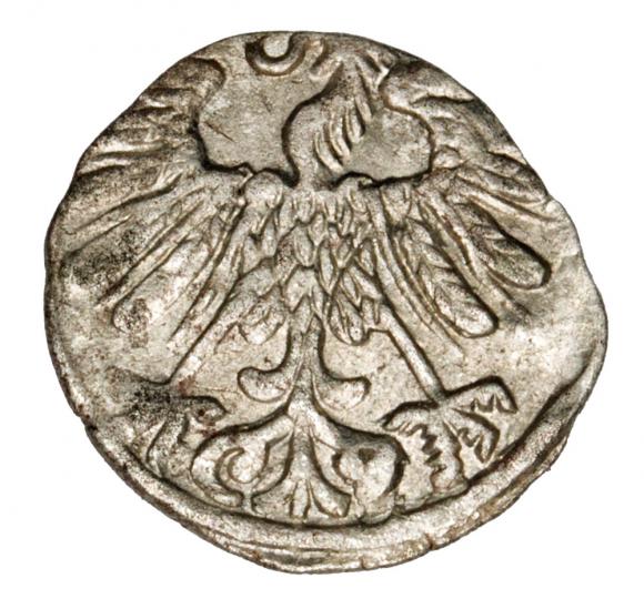 Denar 1558 Zygmunt II August Litwa Wilno (2)