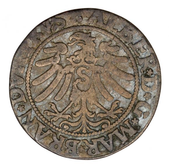 Grosz 1533 Albrecht Hohenzollern Księstwo Pruskie Królewiec (2)