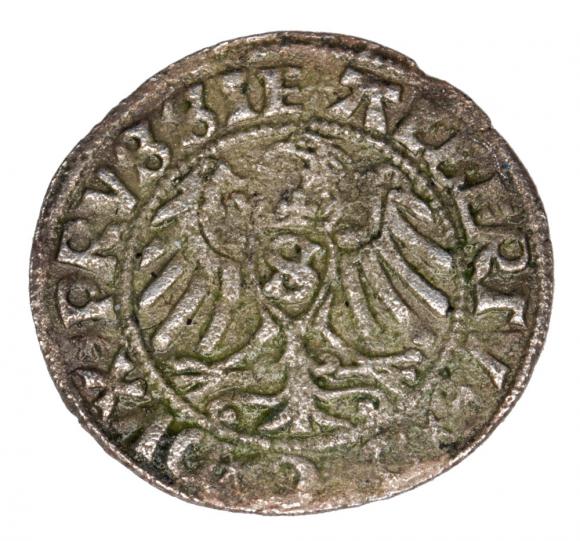 Szeląg 1529 Albrecht Hohenzollern Księstwo Pruskie Królewiec (2)