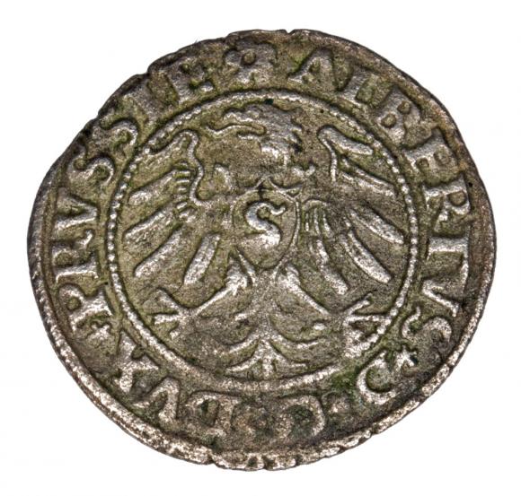 Szeląg 1531 Albrecht Hohenzollern Księstwo Pruskie Królewiec (2)