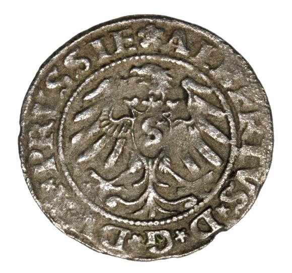 Szeląg 1531 Albrecht Hohenzollern Księstwo Pruskie Królewiec (2)