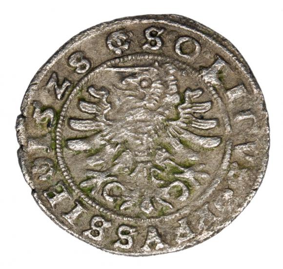 Szeląg 1528 Zygmunt I Stary Polska Toruń (2)