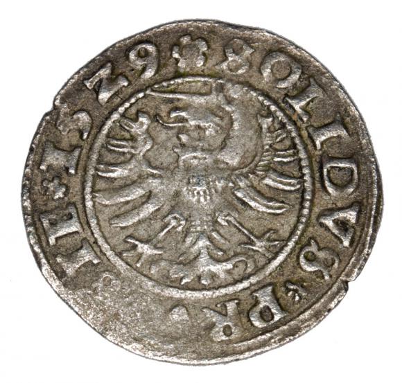 Szeląg 1529 Zygmunt I Stary Polska Toruń (2)