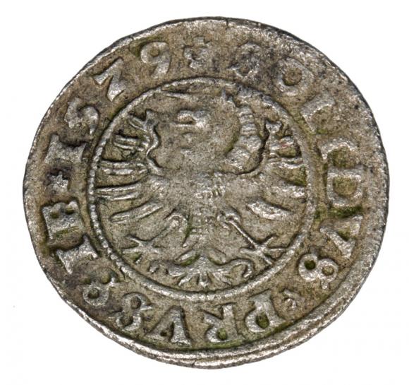 Szeląg 1529 Zygmunt I Stary Polska Toruń (2)