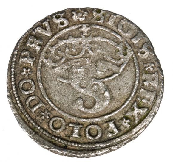 Szeląg 1529 Zygmunt I Stary Polska Toruń (1)