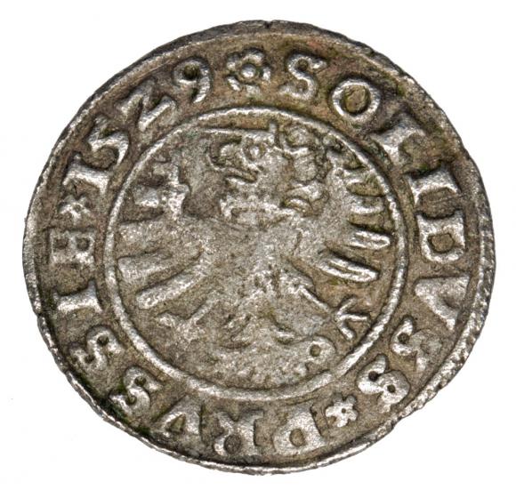 Szeląg 1529 Zygmunt I Stary Polska Toruń (2)