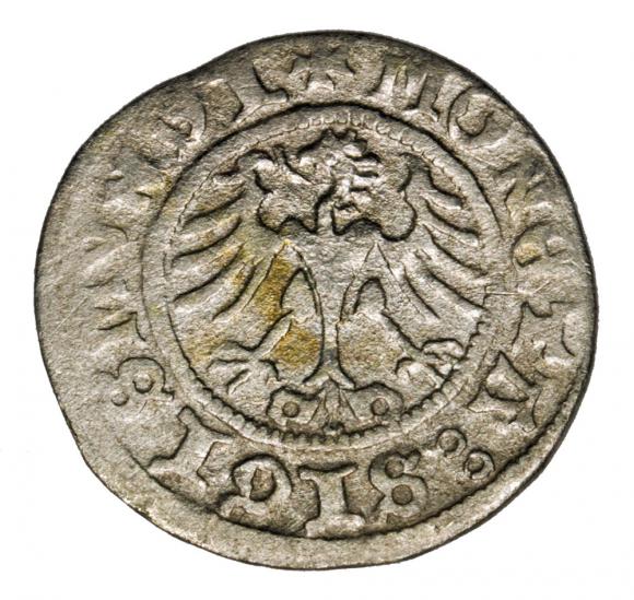 Półgrosz 1511 Zygmunt I Stary Polska Kraków (2)