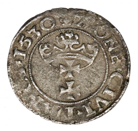 Szeląg 1530 Zygmunt I Stary Gdańsk Gdańsk (1)