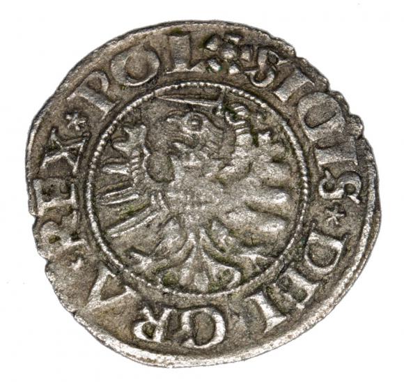 Szeląg 1531 Zygmunt I Stary Gdańsk Gdańsk (2)