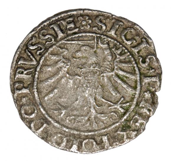 Szeląg 1533 Zygmunt I Stary Elbląg Elbląg (2)