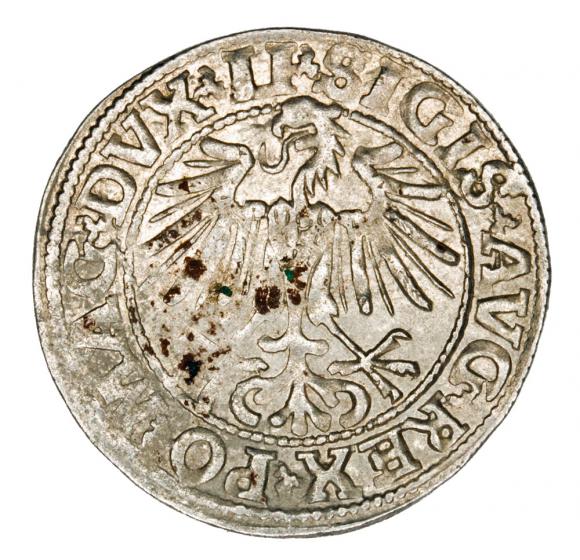 Półgrosz 1549 Zygmunt II August Litwa Wilno (2)