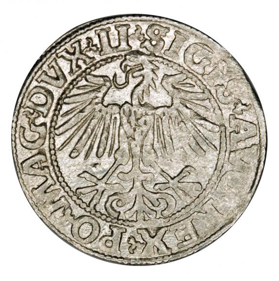 Półgrosz 1549 Zygmunt II August Litwa Wilno (2)
