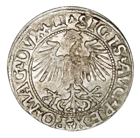 Półgrosz 1549 Zygmunt II August Litwa Wilno (2)