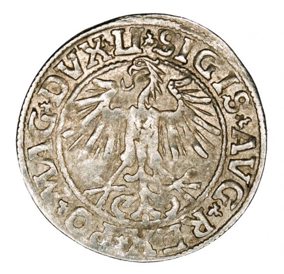 Półgrosz 1549 Zygmunt II August Litwa Wilno (2)