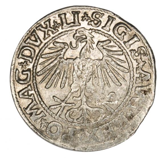 Półgrosz 1549 Zygmunt II August Litwa Wilno (2)