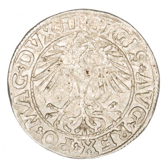 Półgrosz 1550 Zygmunt II August Litwa Wilno (2)