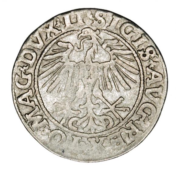 Półgrosz 1551 Zygmunt II August Litwa Wilno (2)