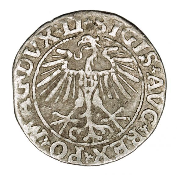 Półgrosz 1551 Zygmunt II August Litwa Wilno (2)