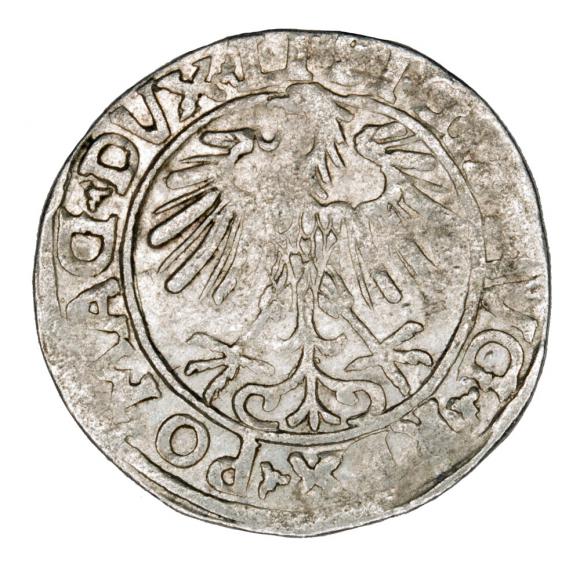Półgrosz 1556 Zygmunt II August Litwa Wilno (2)