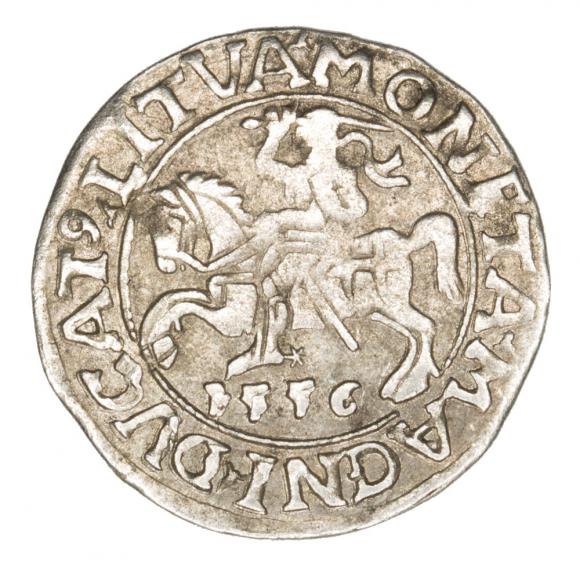 Półgrosz 1556 Zygmunt II August Litwa Wilno (1)