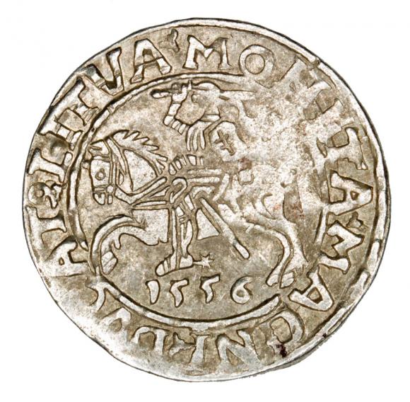 Półgrosz 1556 Zygmunt II August Litwa Wilno (1)