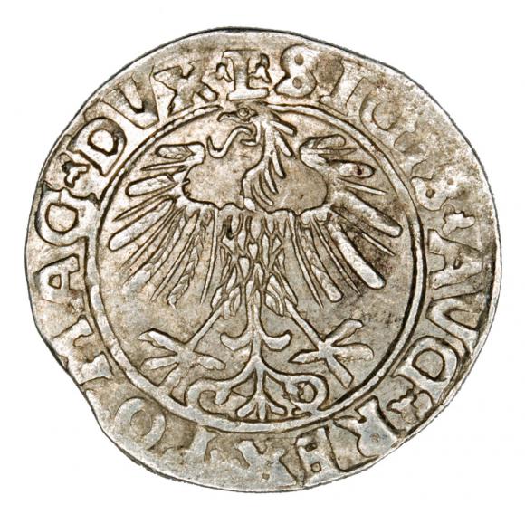 Półgrosz 1556 Zygmunt II August Litwa Wilno (2)