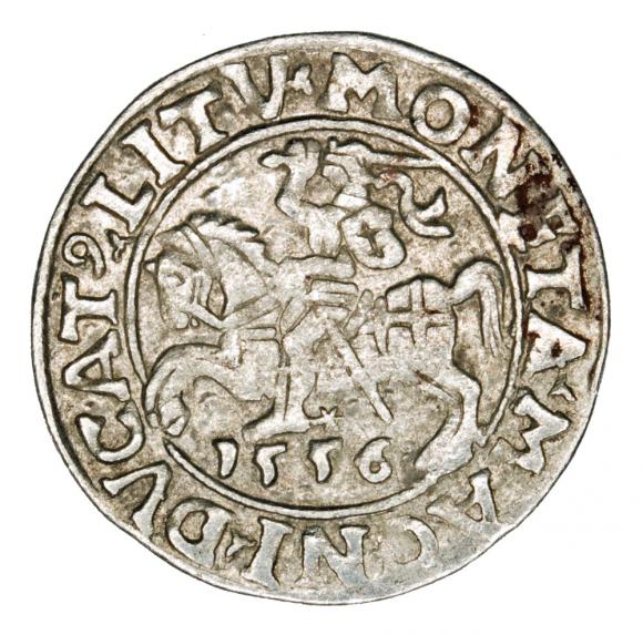 Półgrosz 1556 Zygmunt II August Litwa Wilno (1)