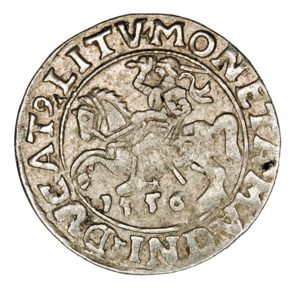 Półgrosz 1556 Zygmunt II August Litwa Wilno (1)
