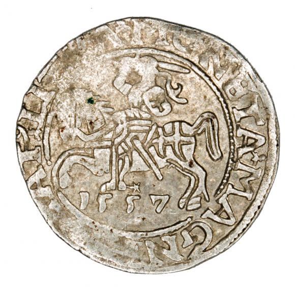 Półgrosz 1557 Zygmunt II August Litwa Wilno (1)