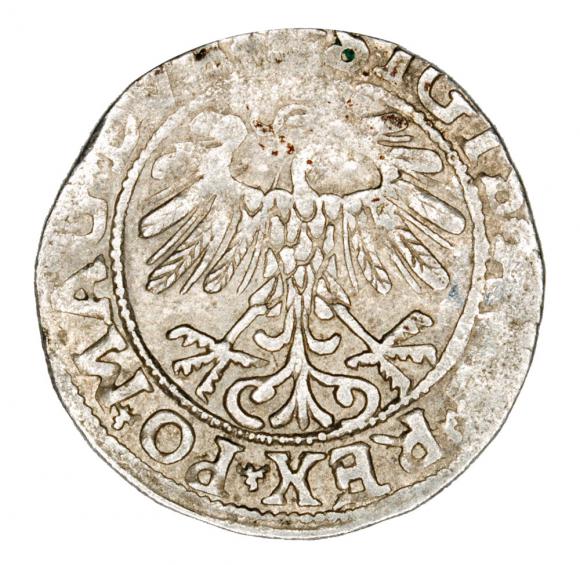 Półgrosz 1557 Zygmunt II August Litwa Wilno (2)
