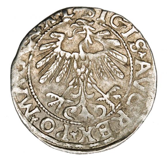 Półgrosz 1557 Zygmunt II August Litwa Wilno (2)