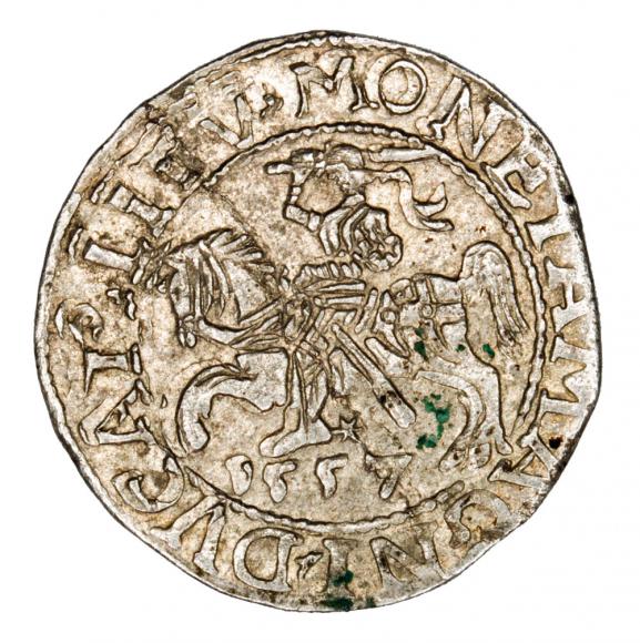 Półgrosz 1557 Zygmunt II August Litwa Wilno (1)