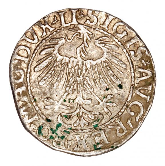 Półgrosz 1557 Zygmunt II August Litwa Wilno (2)
