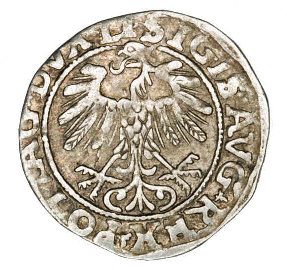 Półgrosz 1557 Zygmunt II August Litwa Wilno (2)