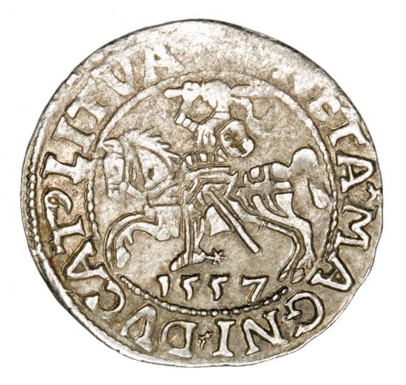 Półgrosz 1557 Zygmunt II August Litwa Wilno (1)