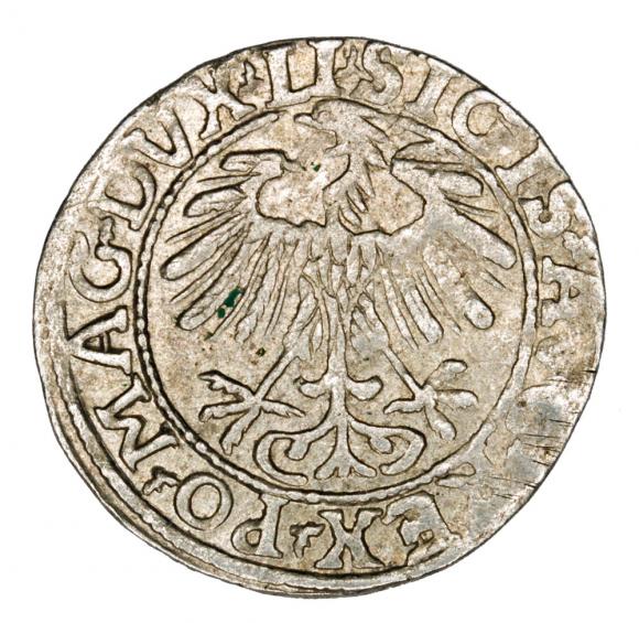 Półgrosz 1557 Zygmunt II August Litwa Wilno (2)