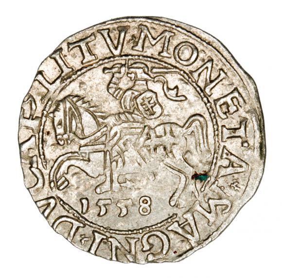 Półgrosz 1558 Zygmunt II August Litwa Wilno (1)