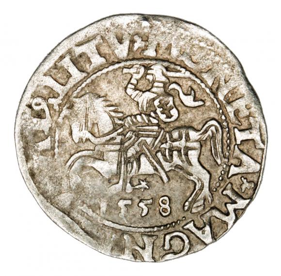 Półgrosz 1558 Zygmunt II August Litwa Wilno (1)
