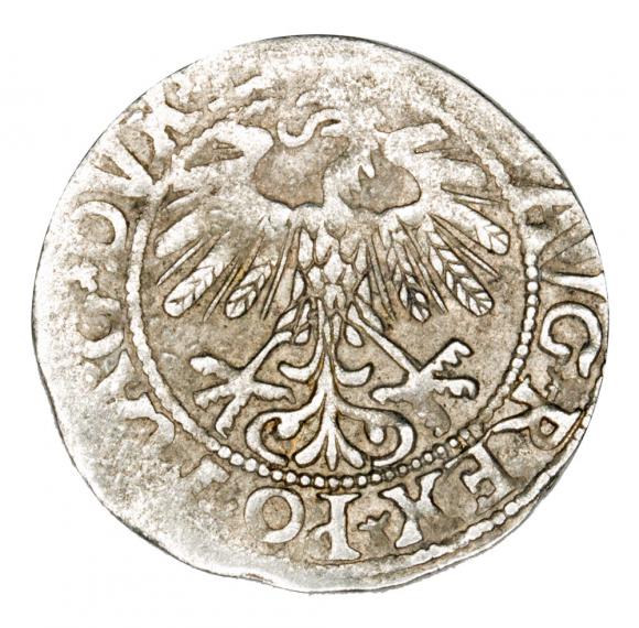 Półgrosz 1558 Zygmunt II August Litwa Wilno (2)