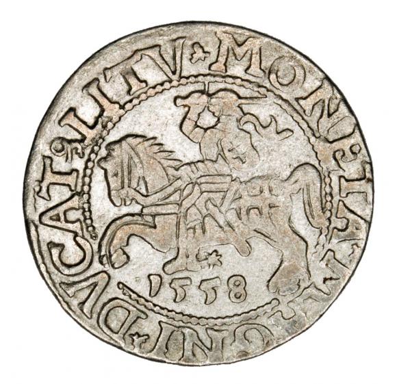 Półgrosz 1558 Zygmunt II August Litwa Wilno (1)