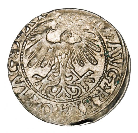 Półgrosz 1558 Zygmunt II August Litwa Wilno (2)