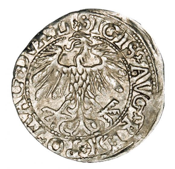 Półgrosz 1558 Zygmunt II August Litwa Wilno (2)