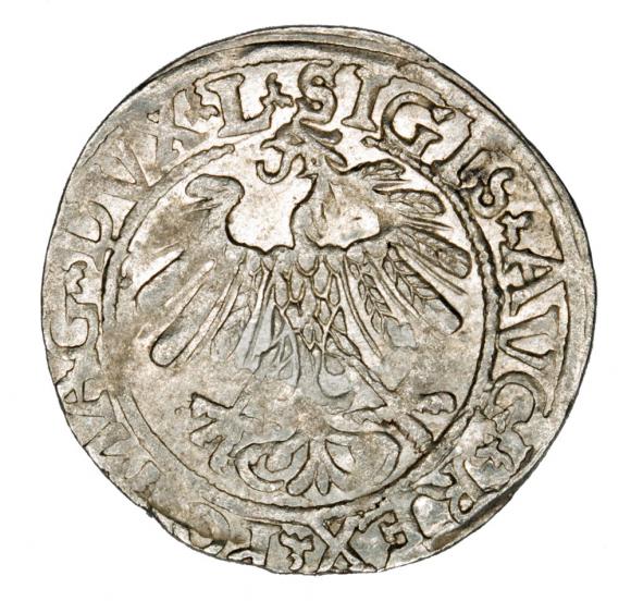 Półgrosz 1558 Zygmunt II August Litwa Wilno (2)