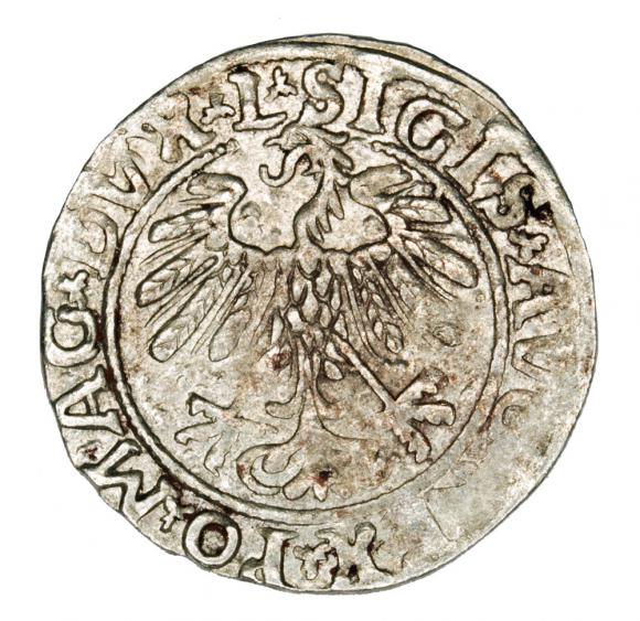 Półgrosz 1558 Zygmunt II August Litwa Wilno (2)