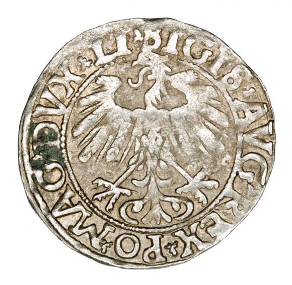 Półgrosz 1558 Zygmunt II August Litwa Wilno (2)