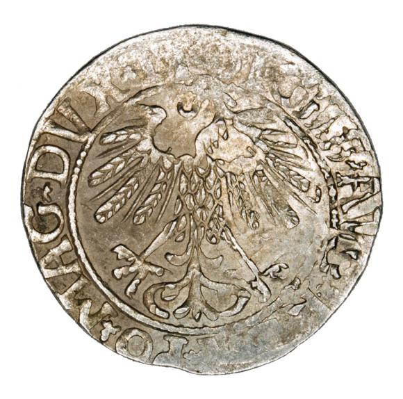 Półgrosz 1558 Zygmunt II August Litwa Wilno (2)