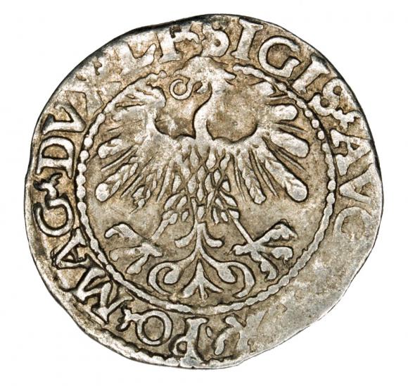 Półgrosz 1559 Zygmunt II August Litwa Wilno (2)